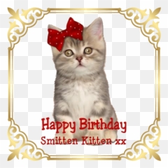 Happy Birthday Smitten Kitten - Happy Birthday With Kitten Emoji,Smitten Emoticon