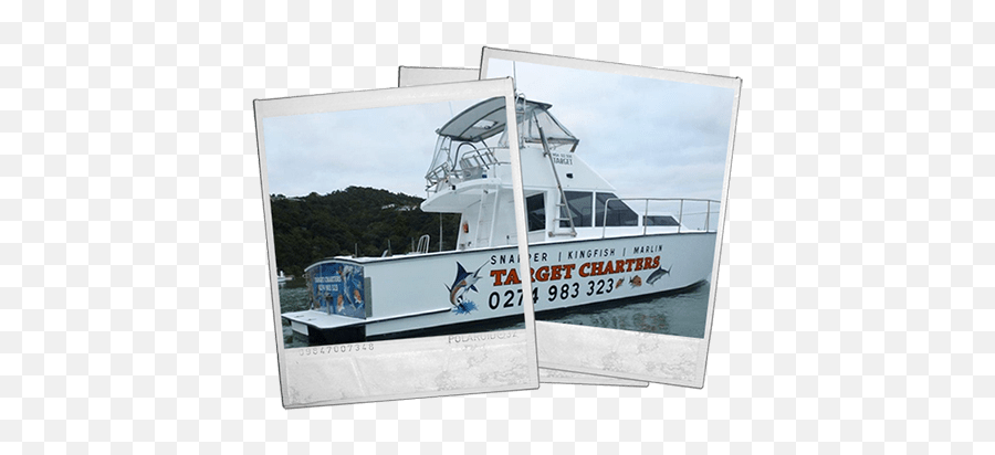 Bay Of Island Fishing Charters Target Charters - Marine Architecture Emoji,Boating Beauties Emoticons