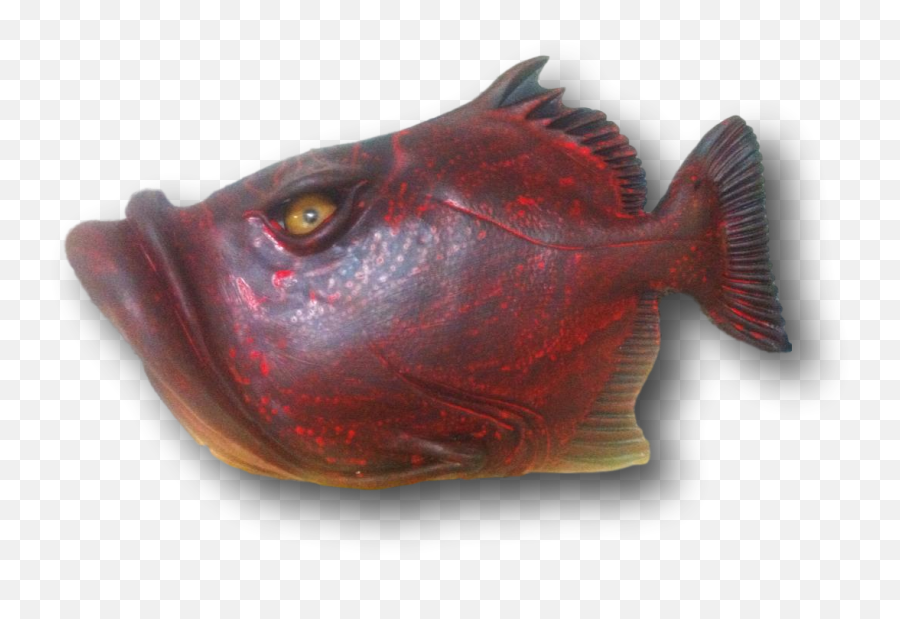 Angler Fish Png 8 Png Image - Deep Sea Angler Fish Aquarium Fish Emoji,Wizard101 Emojis Png