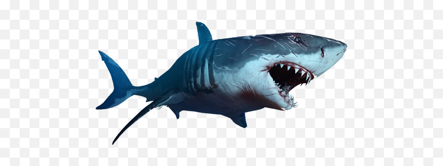 Depth En Steam - Shark White Background Png Emoji,Shark Emoticon Depth