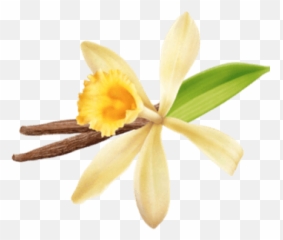 Lip Butter U2013 Honeyglow Hive Emoji,Aloe Vera Emoji