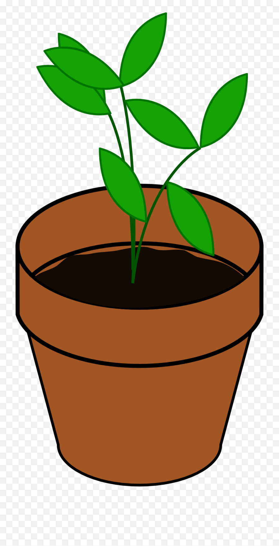 Free Weed Plant Cartoon Download Free Clip Art Free Clip - Plant Clip Art Emoji,Weed Plant Emoticon