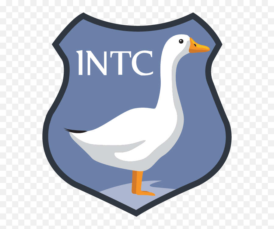 Italian National Trauma Center - Home Domestic Duck Emoji,Claudio Ranieri Italian Organization English Emotion