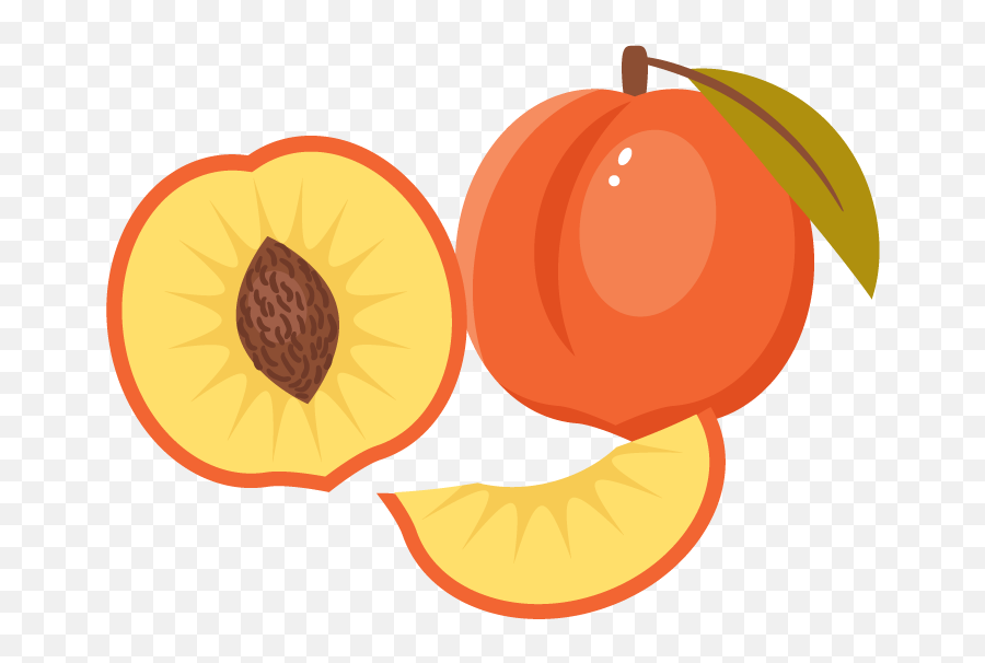 How To Create A Peach Illustration In Adobe Illustrator - Peach Fruit Drawing Emoji,Peach Emoji Transparent