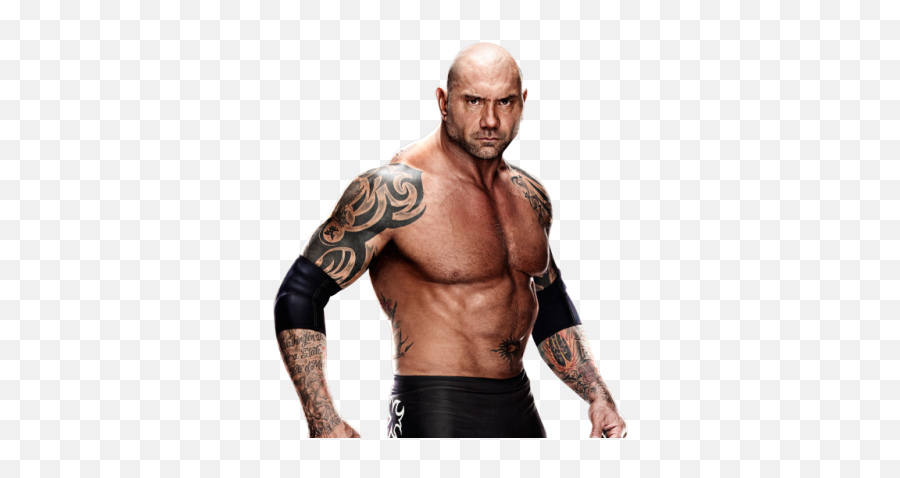 Shoulder Randy Orton Wwe Championship Wwe Raw - 26253 Wwe Batista Png 2020 Emoji,Wwe Wrestler Emoji
