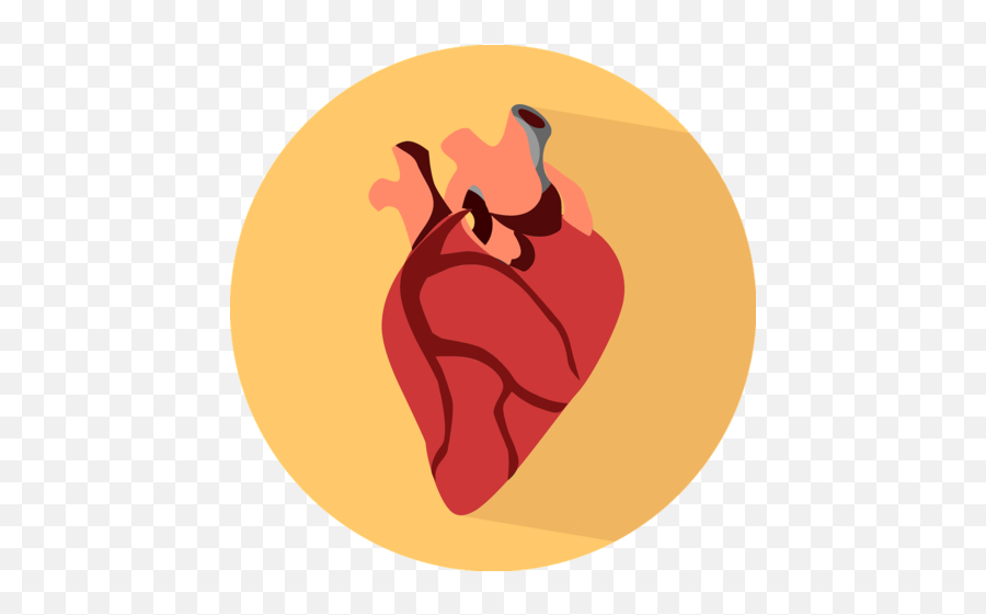 The Truth About The Risks - Real Heart Icon Png Emoji,Alcohol Effects On Your Emotions