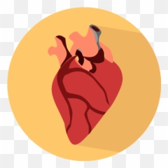 The Truth About The Risks - Real Heart Icon Png Emoji,Alcohol Effects On Your Emotions
