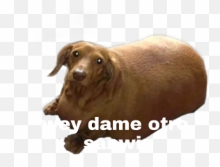 The Most Edited Wey Picsart - Dachshund Emoji,Get Better Dachshund Emoticon