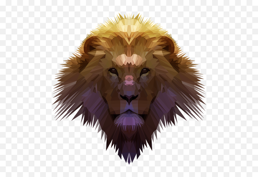 Free Photo Golden Lion Gold Mane Thatch - Leao De Juda Png Emoji,Lion Love Emotions Horoscope