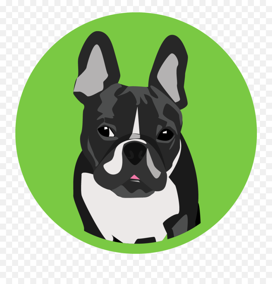 Sara Mccrary Strassell Emoji,Terrier Dog Emoji Png