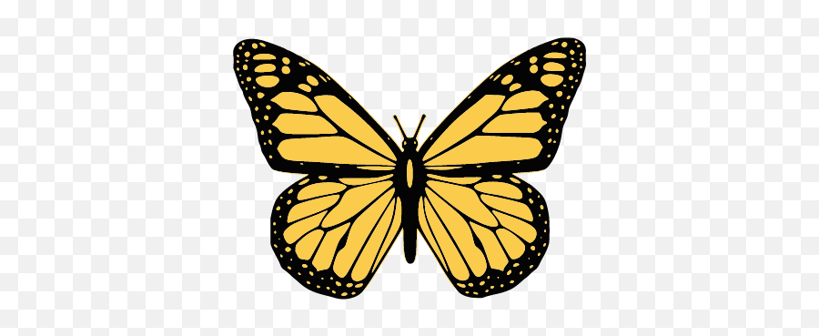 1601922783850 - Transparent Butterfly Clipart Black And White Emoji,Emotion Butterflies