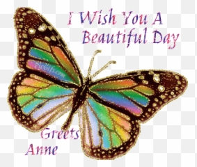 Name Graphics Anne 194902 - Name Gif Happy Birthday Wishes Emoji,Whats Ur Name Emoticon