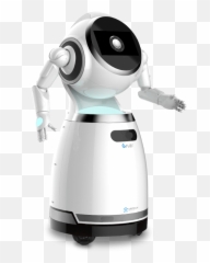 Cruzr - Customizedcloudbasedintelligent Humanoid Service Robot Emoji,Video Of Small Robotic Toy With Emotion
