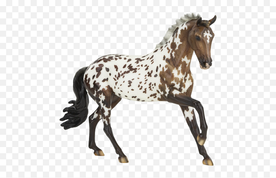 Model Horse Madness January 2021 Emoji,Show Emotion To Horses And Dogs