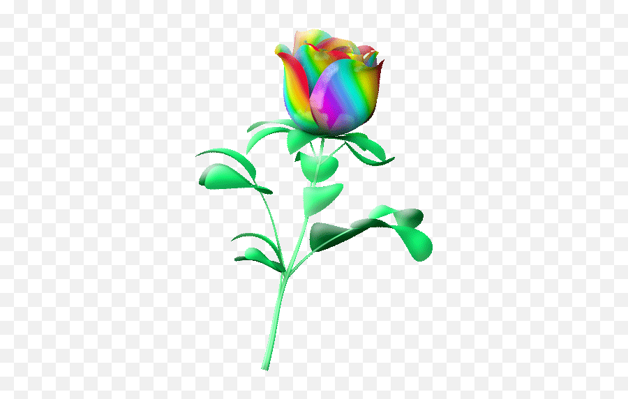 Instagram Ko - Rainbow Rose Gif Emoji,Android Rainbow Emoji