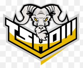 Pain Gaming - Dota 2 Wiki Emoji,Fnatic Logo Emoticon