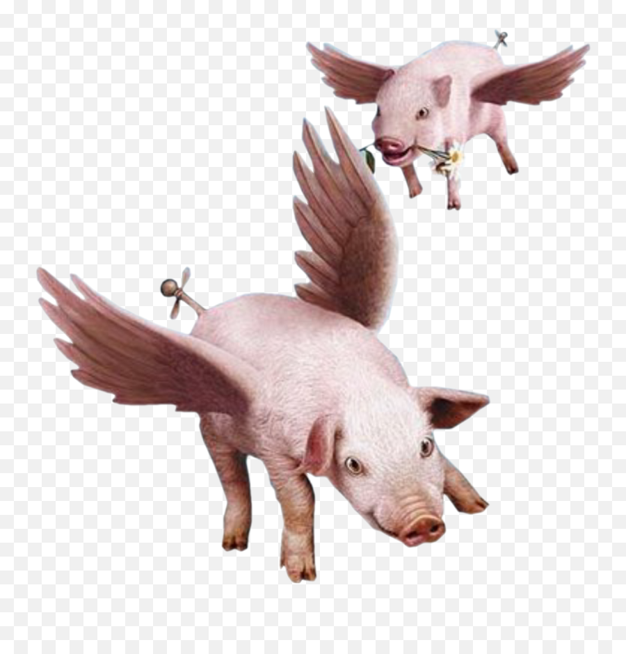 When Pigs Fly Clip Art - Transparent Flying Pig Png Emoji,Pig Knife Emoji