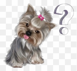 Sticker Maker - Cute Puppy Png Emoji,Yorkie Emojis