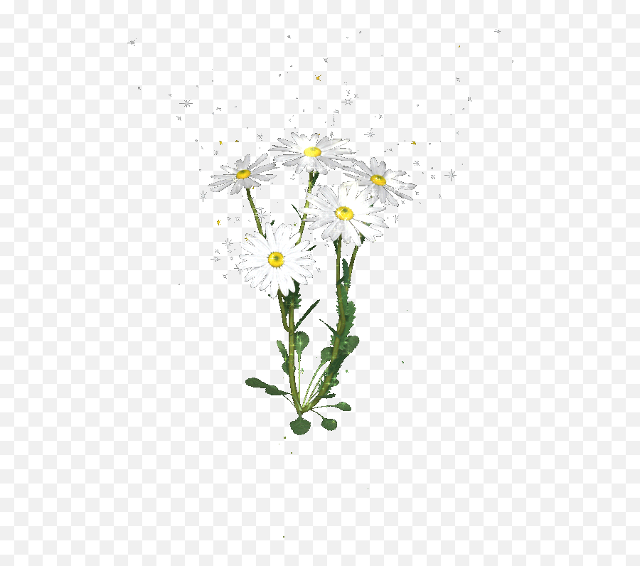 Daisies Gifs - Beautiful Flowers On Animated Images For Free Lovely Emoji,Flowers Animated Emoticons