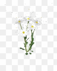 Daisies Gifs - Beautiful Flowers On Animated Images For Free Lovely Emoji,Flowers Animated Emoticons