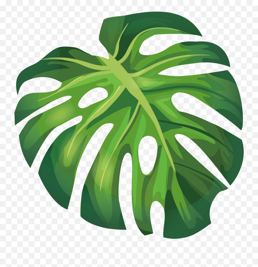 Please - Leaf Vector Emoji,Emoticon Folha