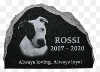 Testimonials U0026 Reviews - Furever Memorials Emoji,Gtanite Stone Emotions Cats