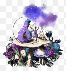 The Course - Down The Rabbit Hole Emoji,Unexpressed Emotions Never Die