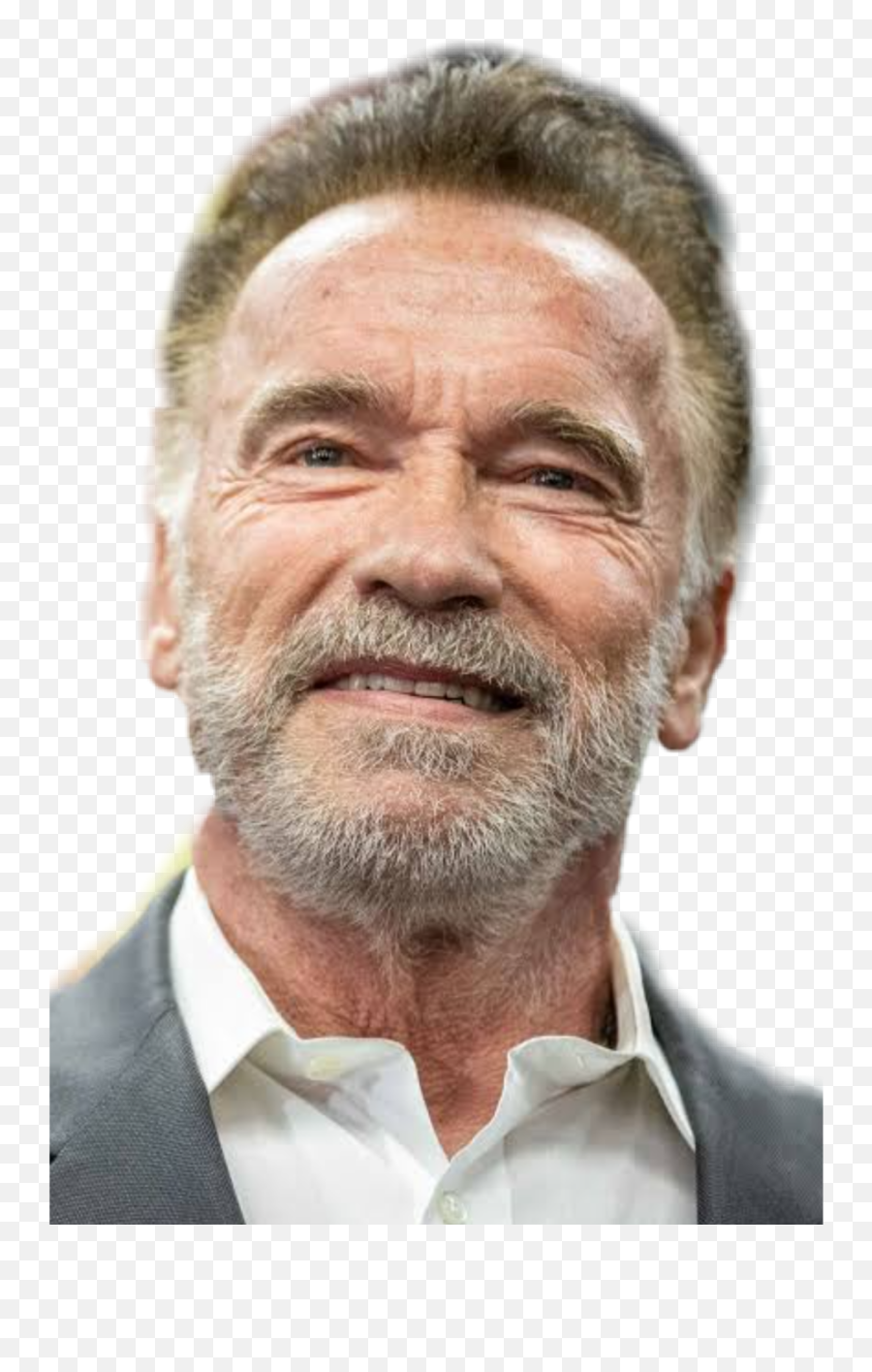 Discover Trending - Yernos De Arnold Schwarzenegger Emoji,Arnold Schwarzenegger Emoji