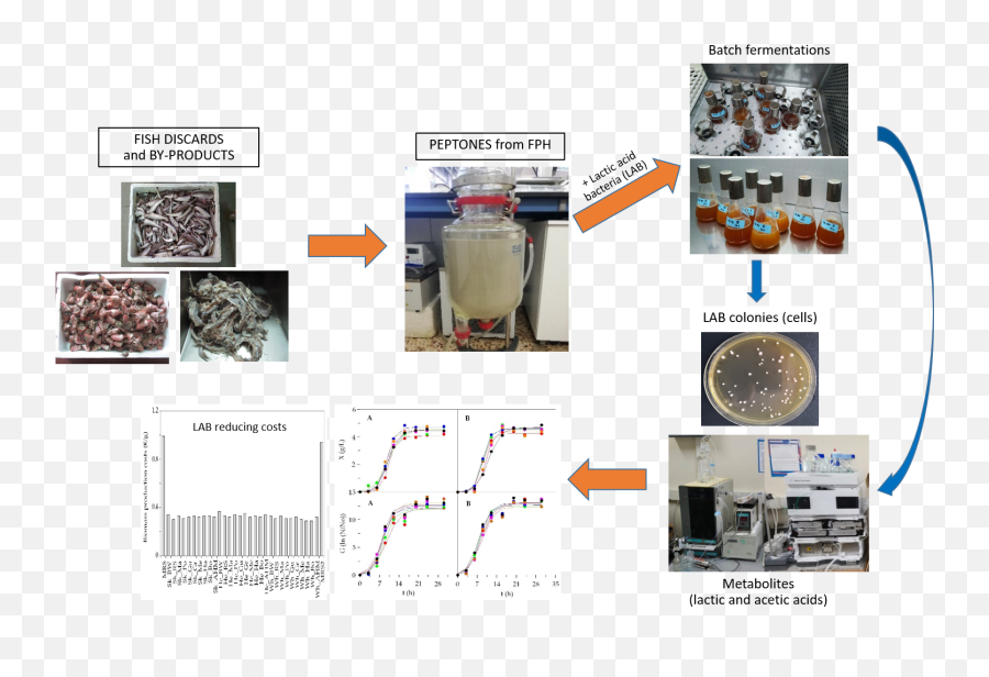 Foods Free Full - Text Bioconversion Of Fish Discards Emoji,An Emotion Fish