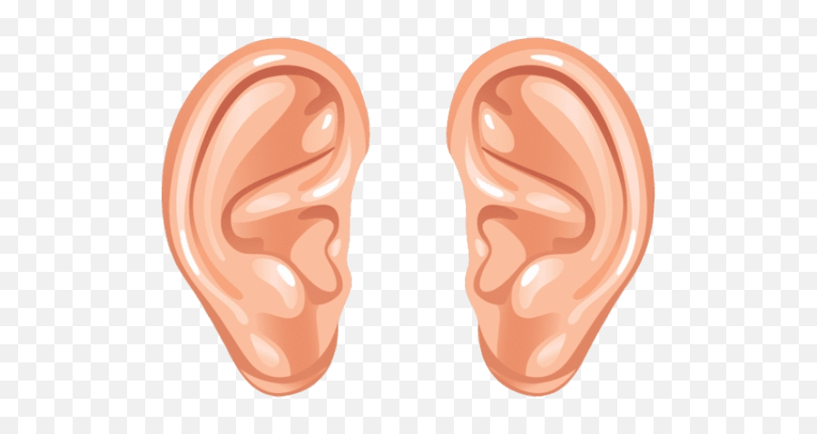 Hearing Clipart Loud Hearing Loud Transparent Free For - Ears Clipart Png Emoji,Ear Emoji Png