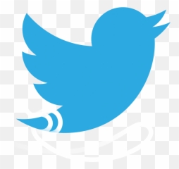 Whitewashing The Russian Intelligence Emoji,How Birds Show Emotions