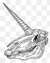 Tumblr Skull Skulls Sticker - Sketch Emoji,Skull Unicorn Emoji