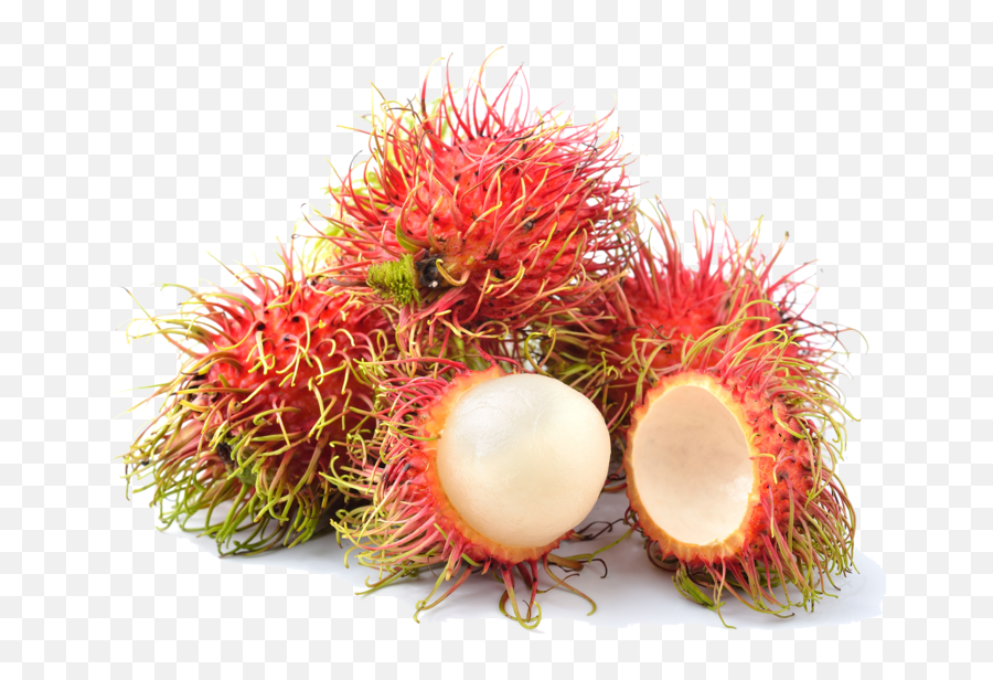 Grower Eatoo Uk - Rambutan Jpg Emoji,Graffitti Emojis