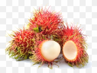 Grower Eatoo Uk - Rambutan Jpg Emoji,Graffitti Emojis