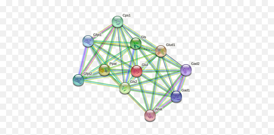 Glul Protein Rattus Norvegicus - String Interaction Network Dot Emoji,Medial Dorsal Nucleus Thalamus Memory Emotion Step 1