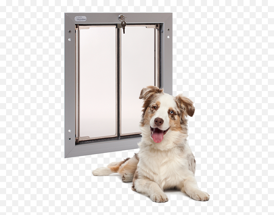 Plexidor Pet Doors February 2014 Emoji,Australian Shepherd Emotions