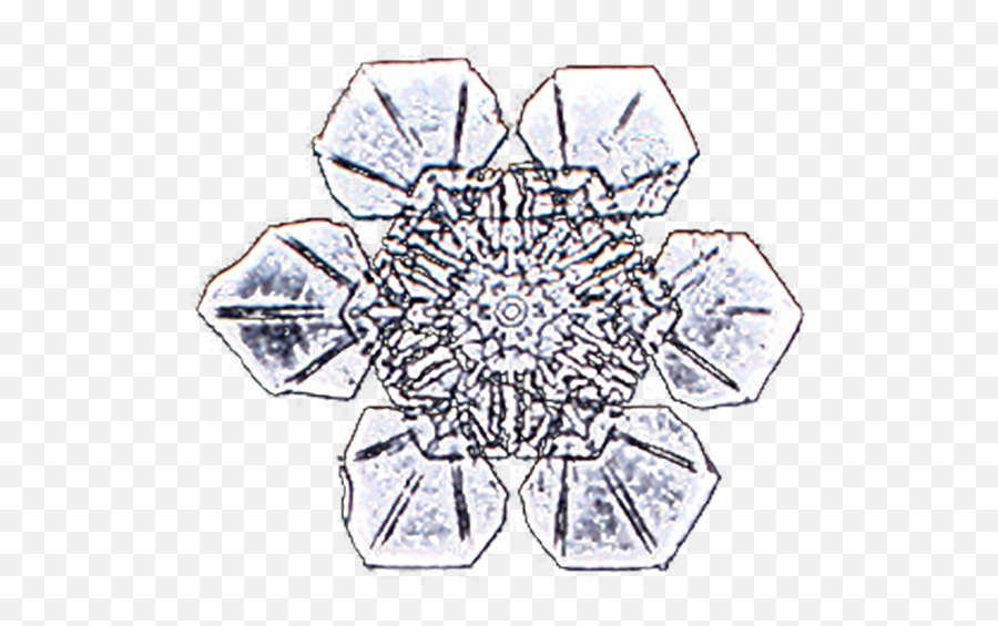 Broken Symmetries - Awesome Life Patterns Emerging Emoji,Steam Snowflake Emoticon