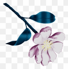 Illustrations U2013 Ayaka B Ito Emoji,Flower Emojis Jacaranda