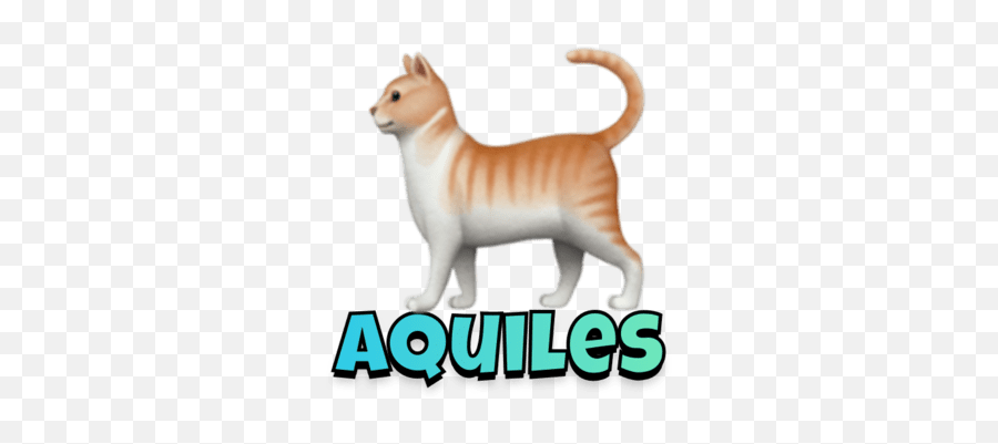 Aquiles Emoji,:waf: Cat Emoji