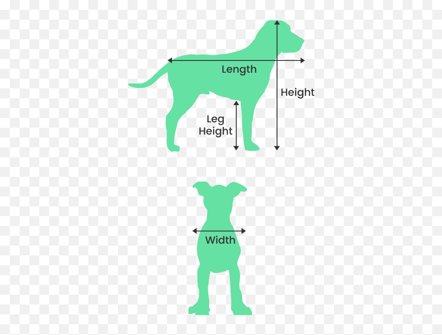 Find The - Length Width Height Animal Emoji,Inside Out Dog And Cat Emotions