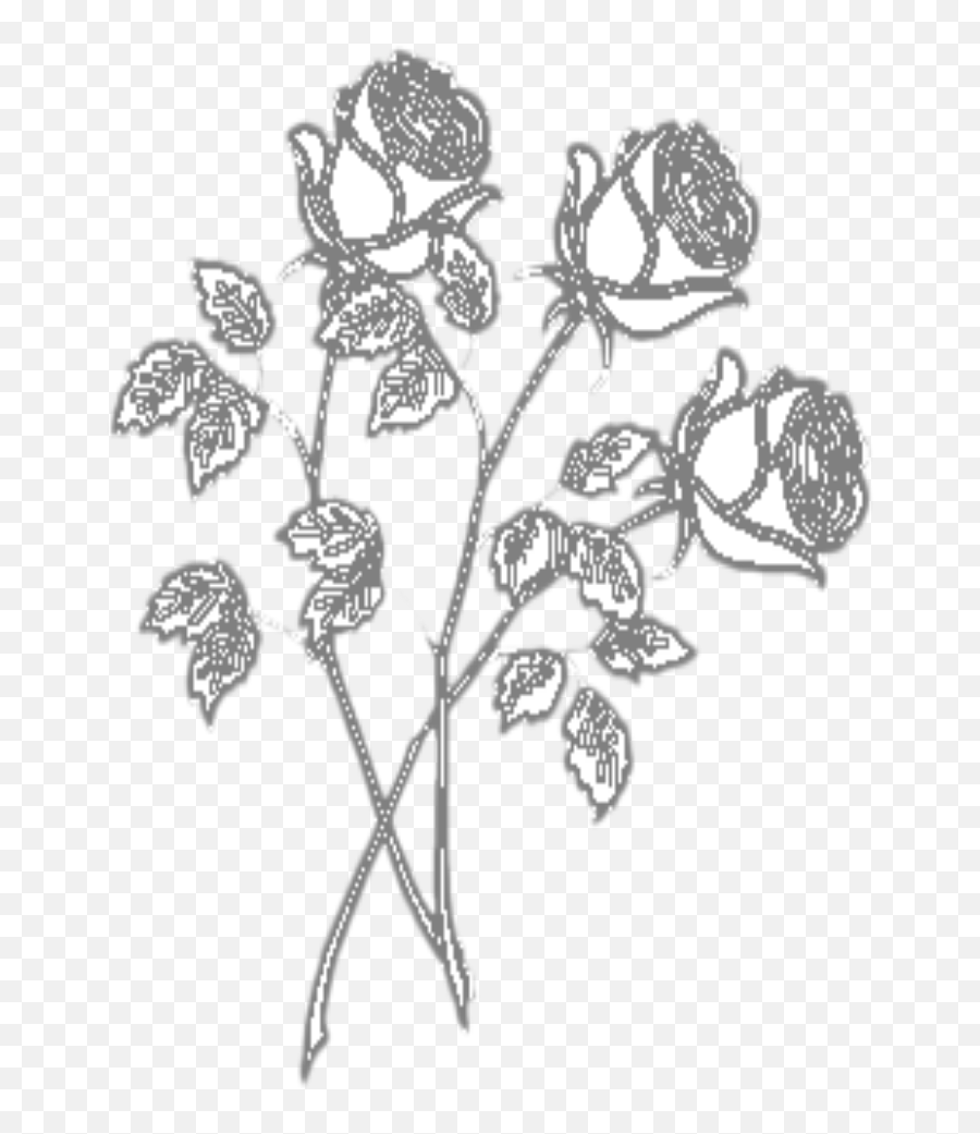Mq White Black Roses Flower Flowers - Floral Emoji,Black And White Flower Emoji