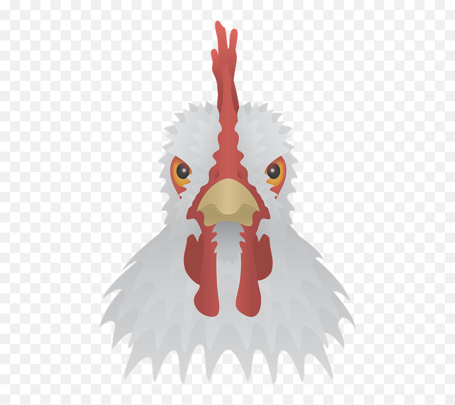 Free Photo Ranch Chicken Birds Nature - Chicken Emoji,Chicken Emotions