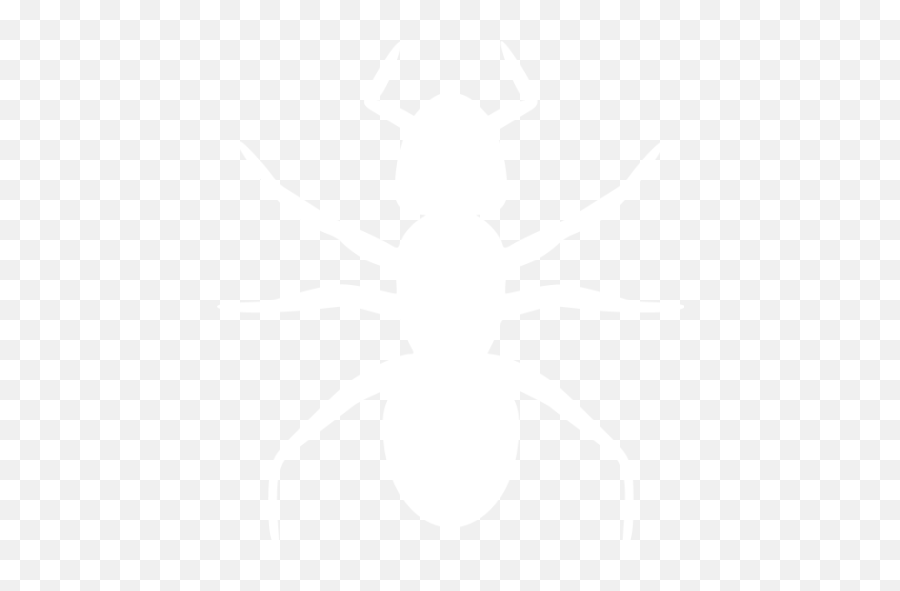 White Ant 3 Icon - Ant Png White Logo Emoji,Ant Emoticon