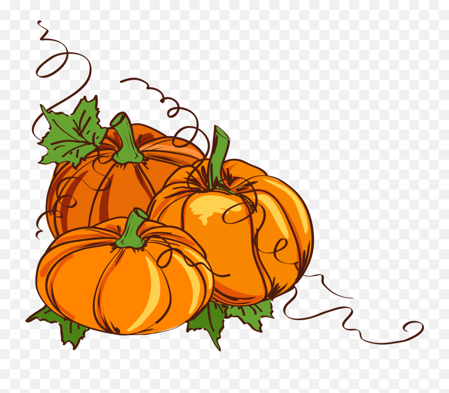 Thanksgiving Pumpkin Clipart At - Pumpkin With Vines Clipart Emoji,Thanksgiving Emoji