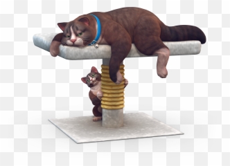 The Sims 4 Cats Dogs Key Art 8 - Sims 4 Dogs And Cats Emoji,Cat Emotions Sims 4