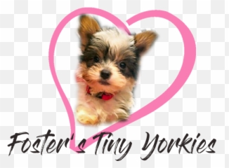 Contact Us Emoji,Yorkie Emojis