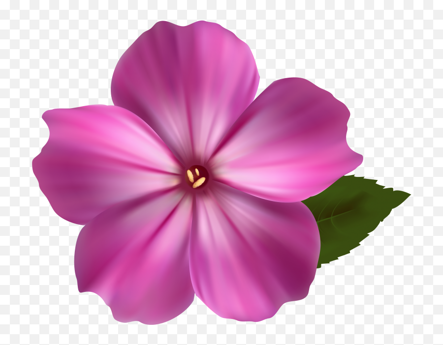 Pink Flower Transparent Png Image - Freepngdesigncom Transparent Pink Flower Png Emoji,Pink Flamingo Emoji