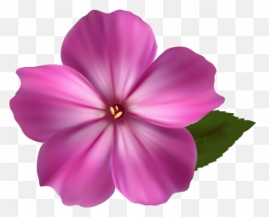 Pink Flower Transparent Png Image - Freepngdesigncom Transparent Pink Flower Png Emoji,Pink Flamingo Emoji