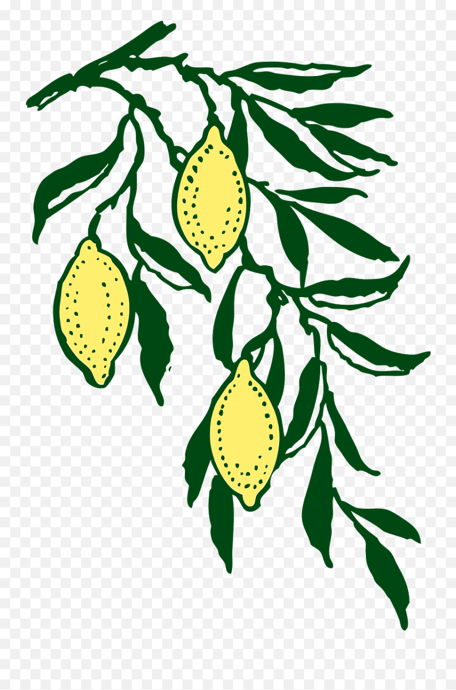 Lemon Line U0026 Form Art Citrus Computer Icons - Lemon Branch Emoji,Walter White Emoticon Png