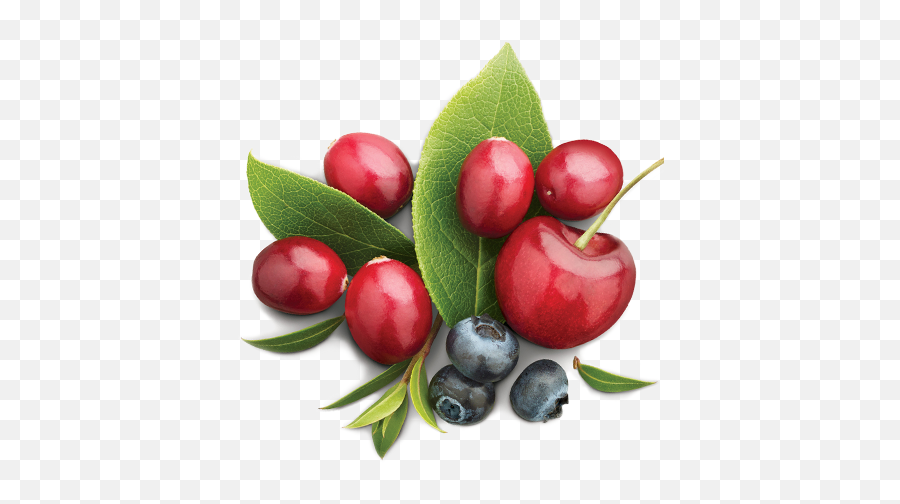 Index Of Images Emoji,Blueberries Emoticon Whatsapp